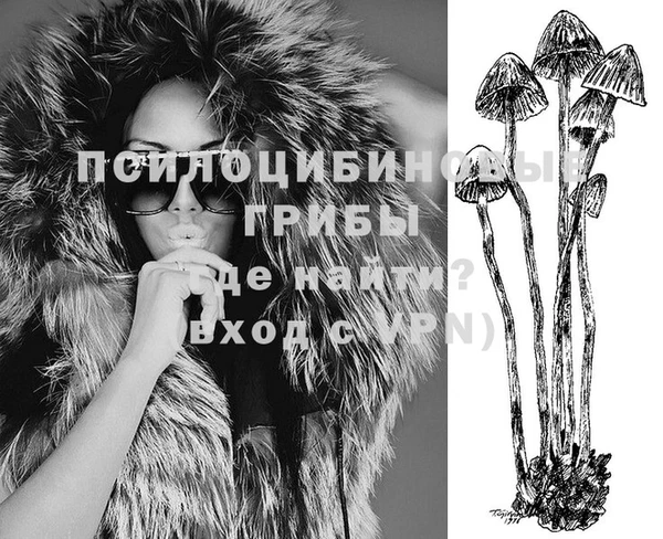 спиды Баксан