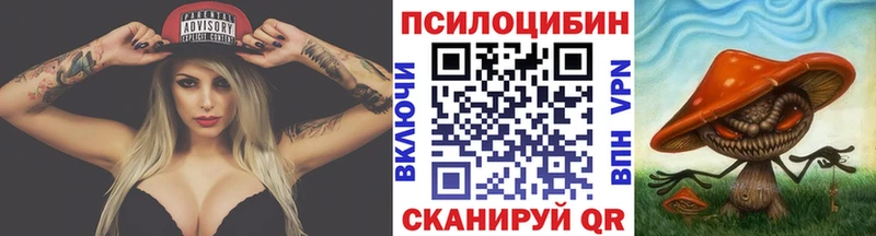купить наркотик  Балей  Псилоцибиновые грибы мухоморы 